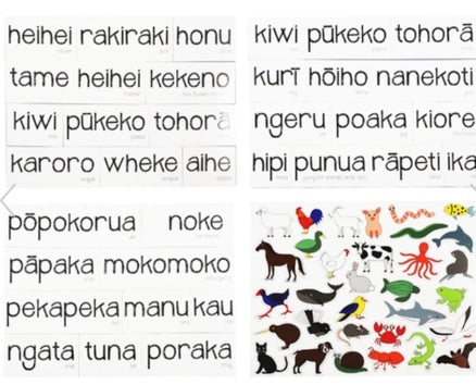 Animals in Maori - Magnets