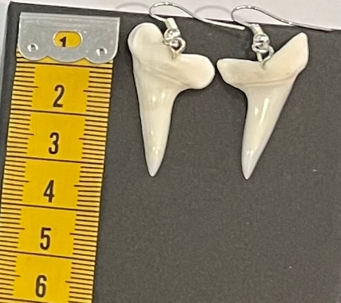 Real Mako Shark Teeth Earrings - No 5