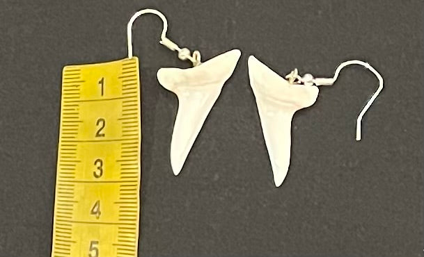 Real Mako Shark Teeth Earrings - No 16