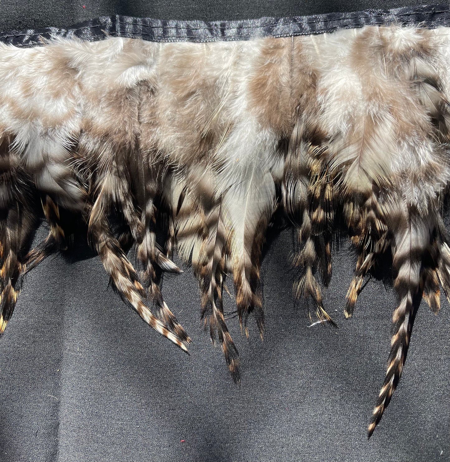 Tiger Hen Feathers