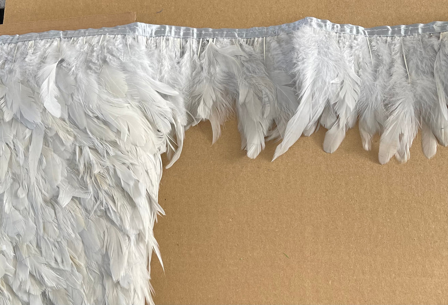 Pale Grey Coque Feathers