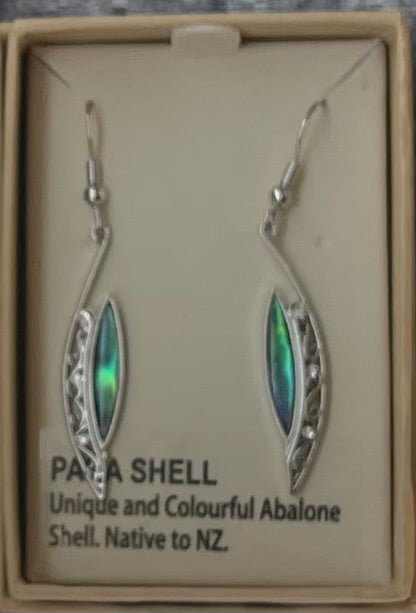 Paua Drop Earrings