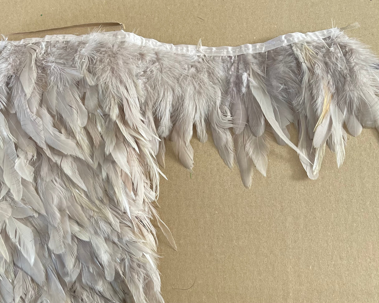 Plain Beige Coque Feathers