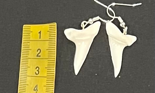 Real Mako Shark Teeth Earrings - No 22