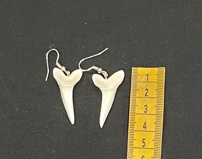 Real Mako Shark Teeth Earrings - No 11