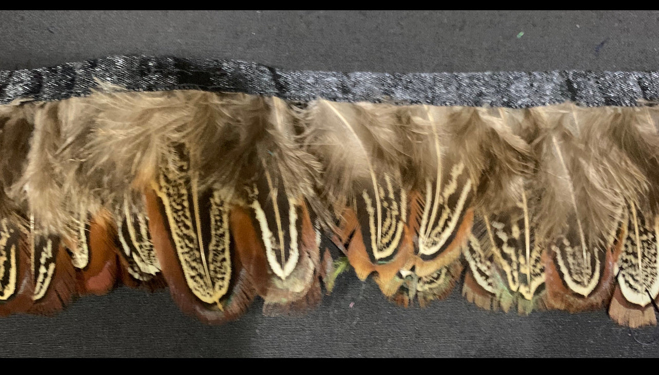 Brown Pheasant Feathers