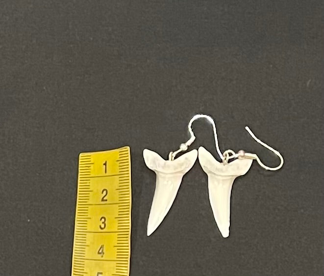 Real Mako Shark Teeth Earrings - No 17