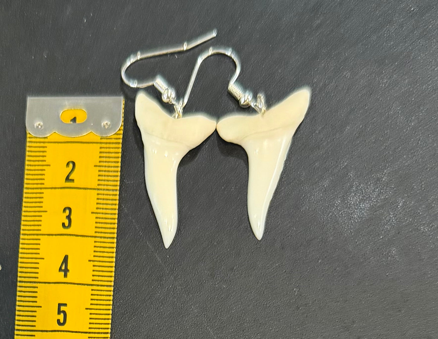 Real Mako Shark Teeth Earrings - No 24