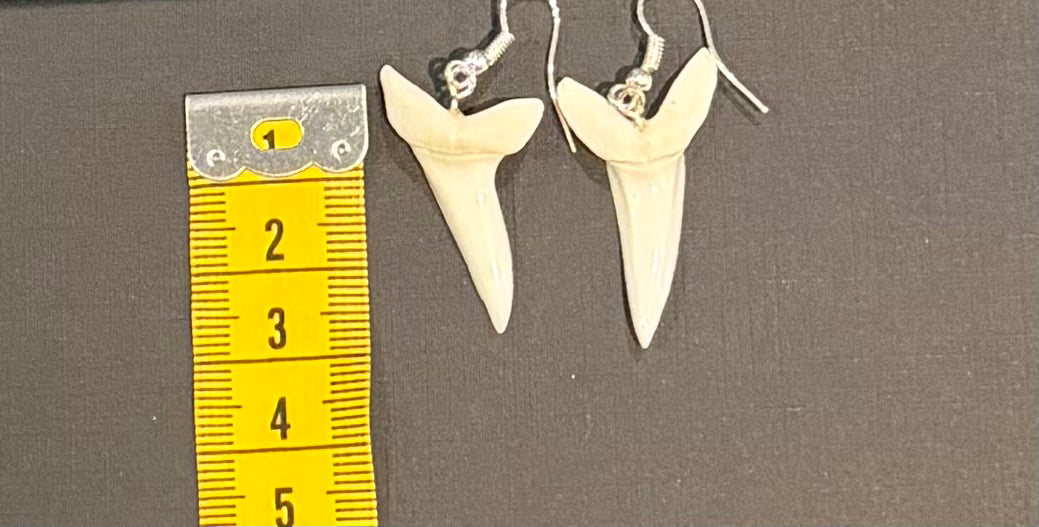 Real Mako Shark Teeth Earrings - No 12