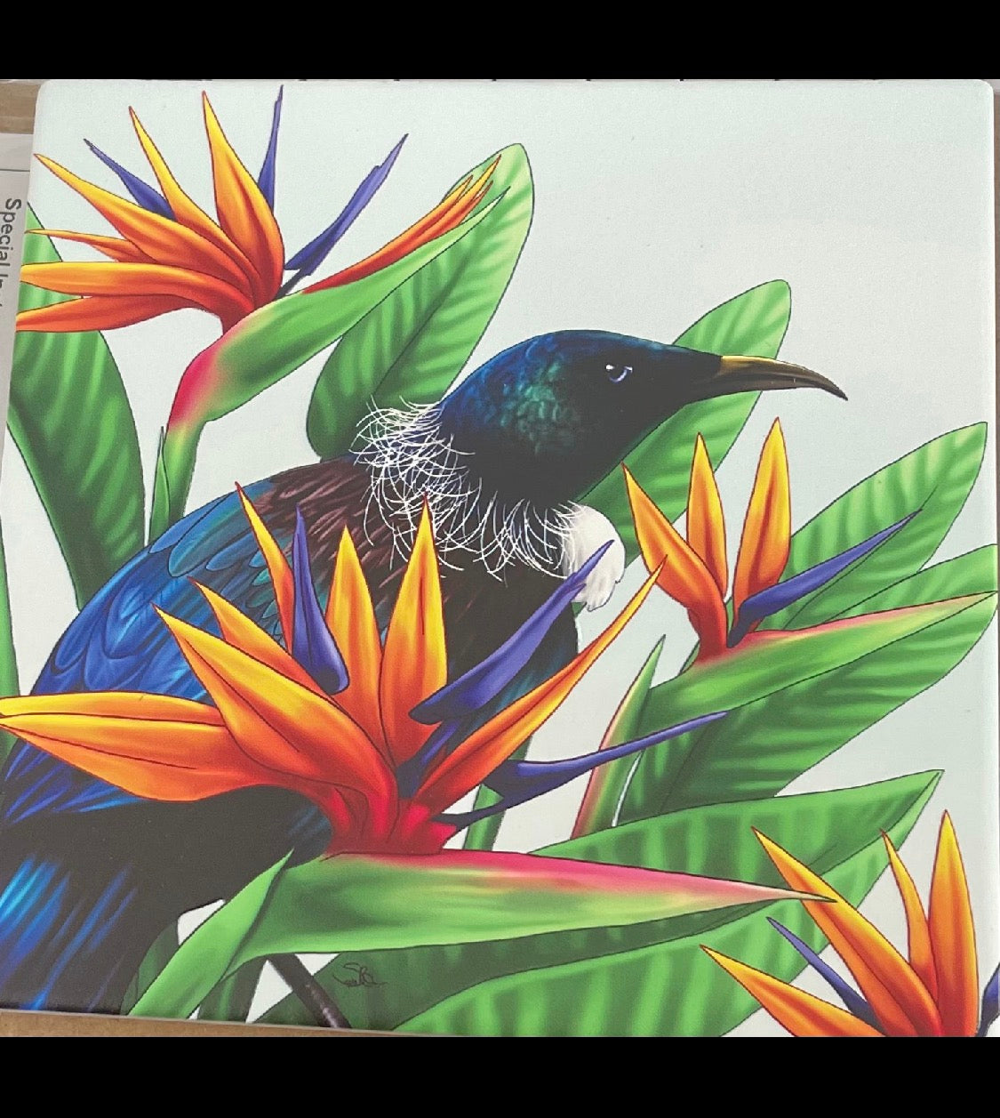 Square - Tui On Bird Of Paradise Plant Ceramic Wall Art with a card to match