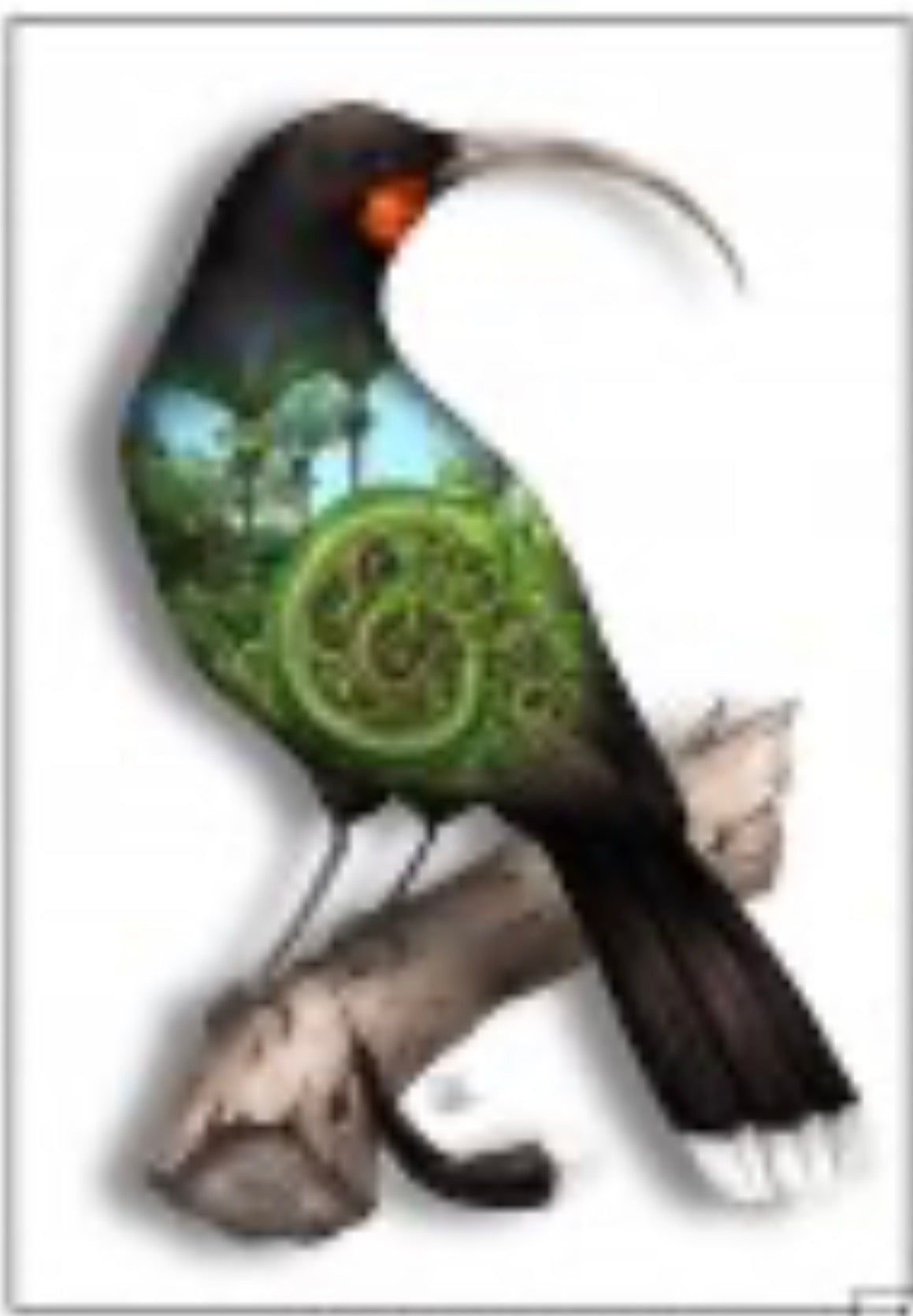 Maori Art Cards by Sophie Blokker Huia