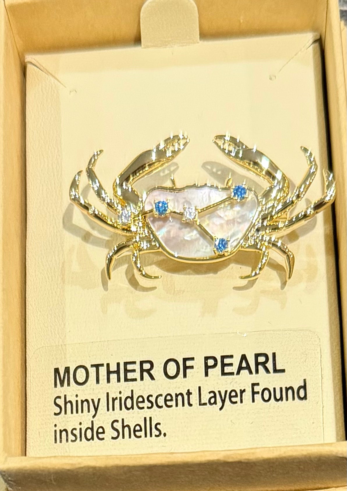 Mother of Pearl Brooch Cancer