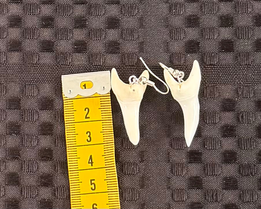 Real Mako Shark Teeth Earrings - No 2