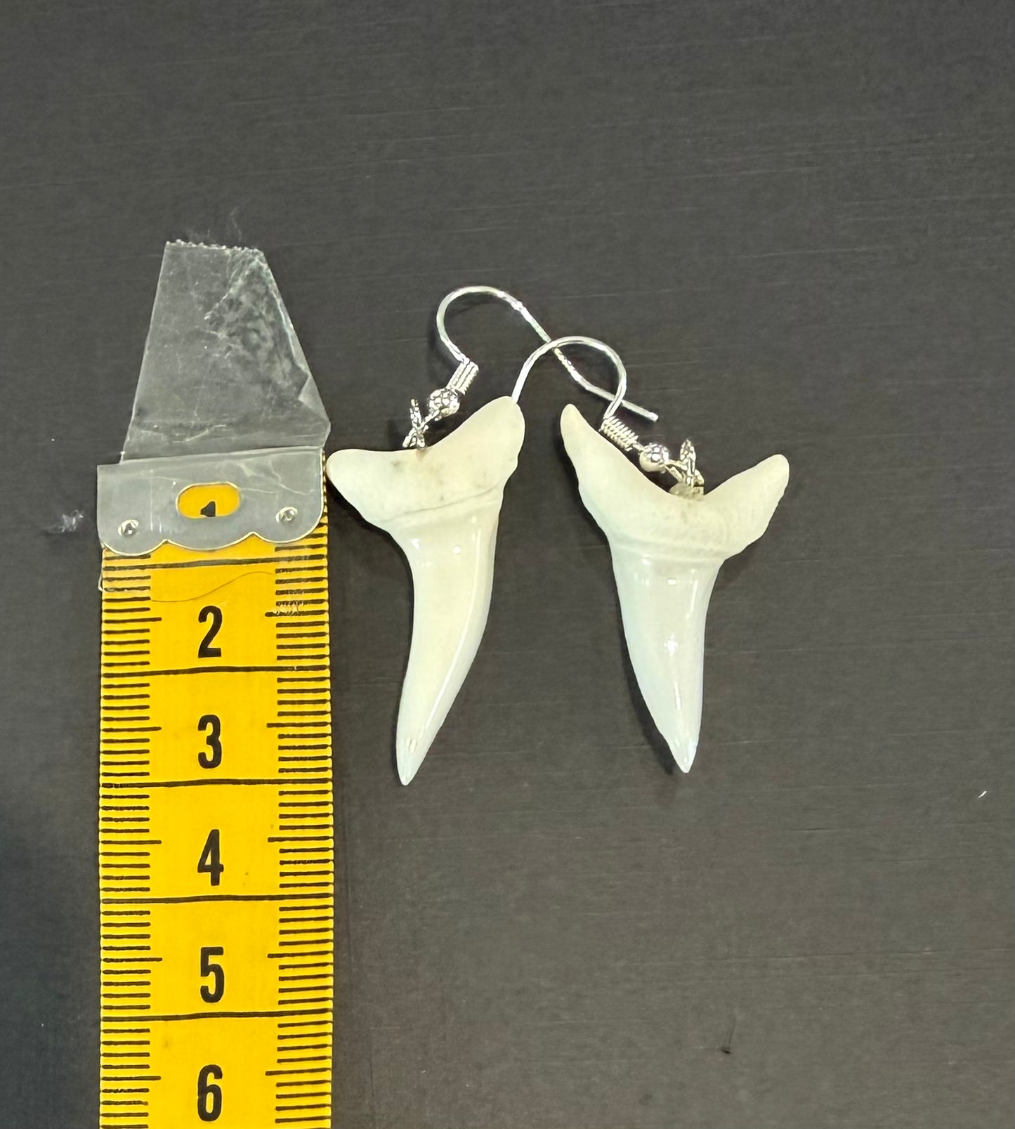 Real Mako Shark Teeth Earrings - No 5