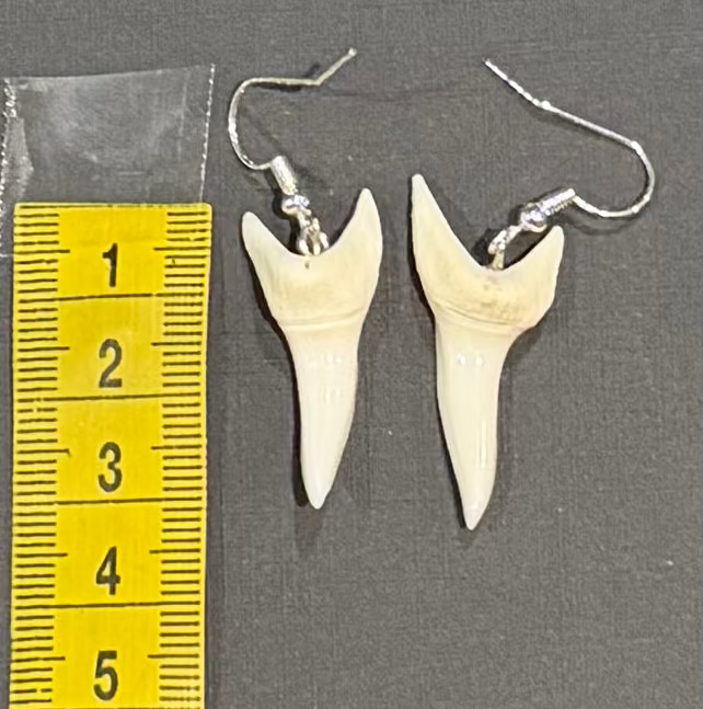 A pair of silver fishhook earrings with off-white shark teeth pendants, shown next to a yellow measuring tape on a dark gray background.
