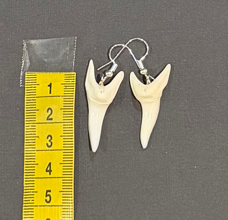 Real Mako Shark Teeth Earrings - No 13