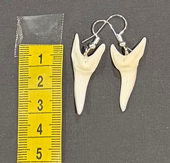 A pair of tooth-shaped drop earrings with silver fishhook wires, displayed next to a yellow measuring tape on a dark gray background.