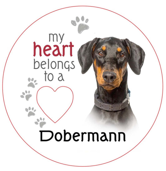 Dobermann