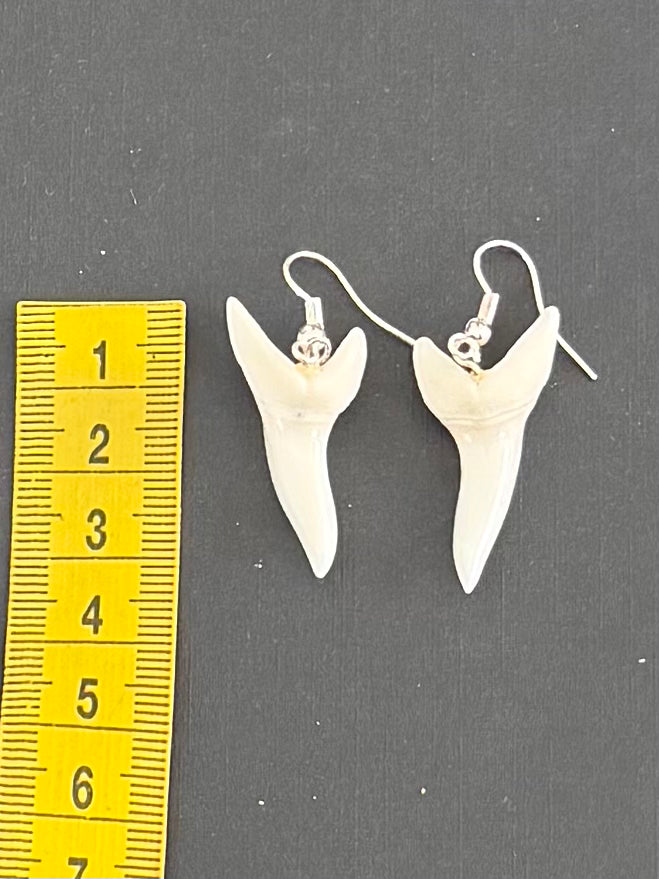 Real Mako Shark Teeth Earrings - No 13