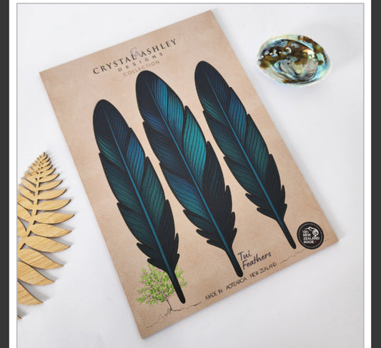 Popout Maori Tui Feather Set - Wall Art