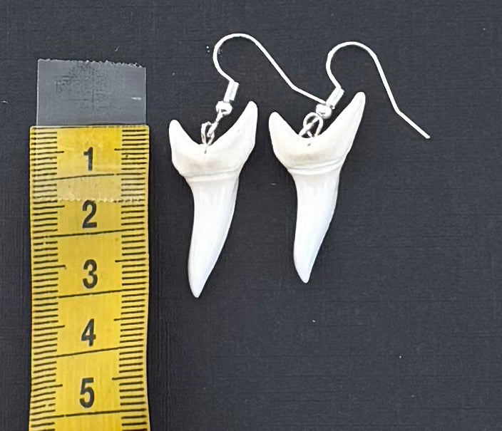Real Mako Shark Teeth Earrings - No 19