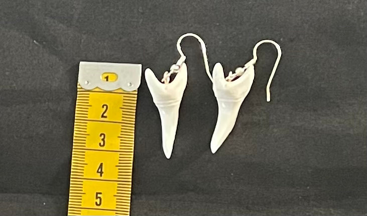 Real Mako Shark Teeth Earrings - No 5