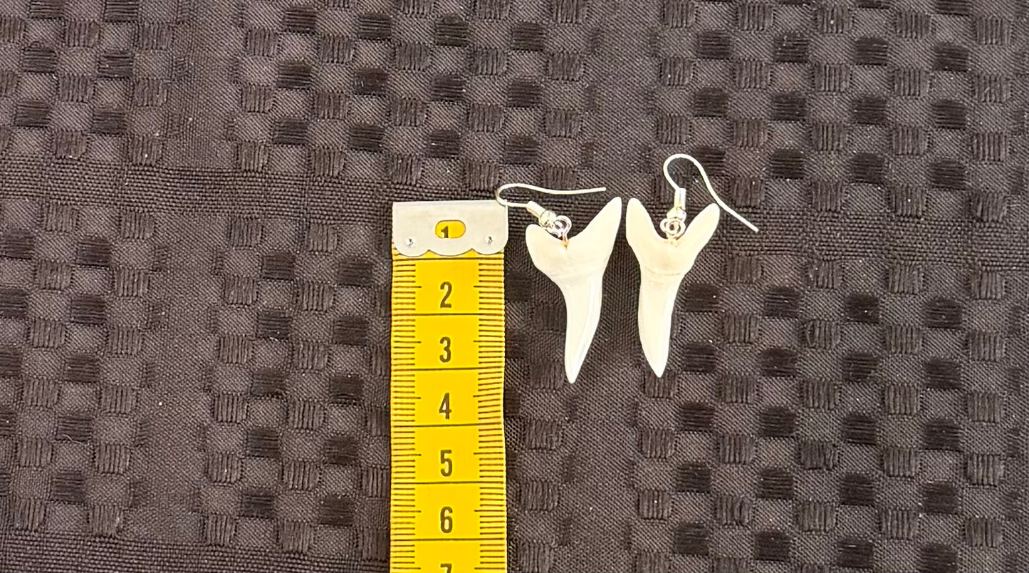 Real Mako Shark Teeth Earrings - No 18
