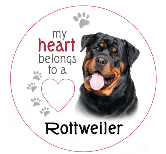 Rottweiler