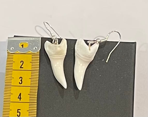 Real Mako Shark Teeth Earrings - No 9