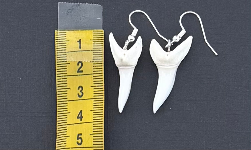 Real Mako Shark Teeth Earrings - No 17