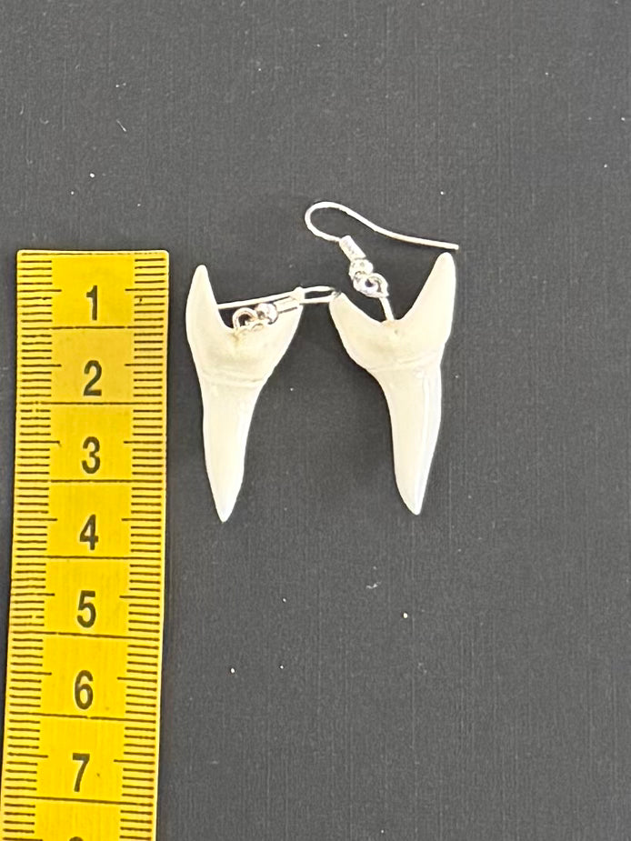 Real Mako Shark Teeth Earrings - No 10