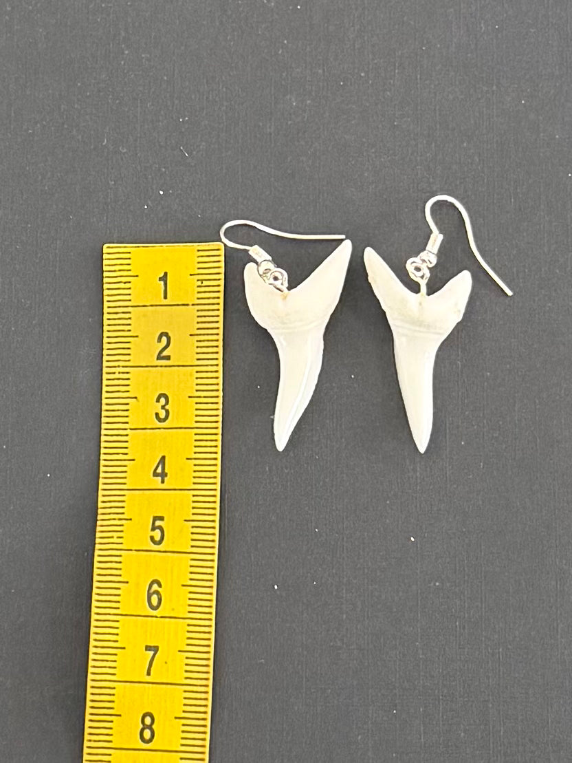Real Mako Shark Teeth Earrings - No 2