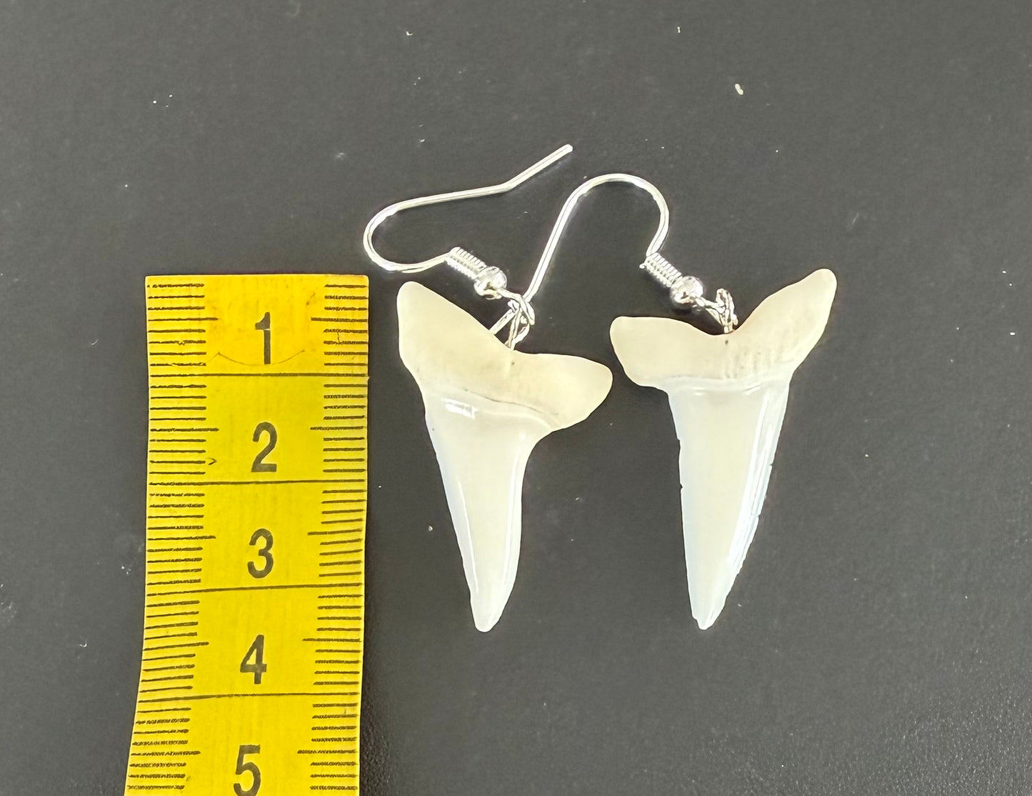 Real Mako Shark Teeth Earrings - No 12