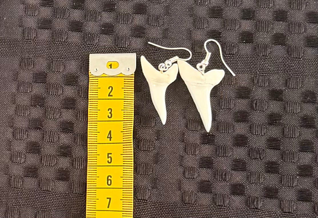 Real Mako Shark Teeth Earrings - No 7