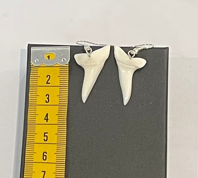 Real Mako Shark Teeth Earrings - No 6