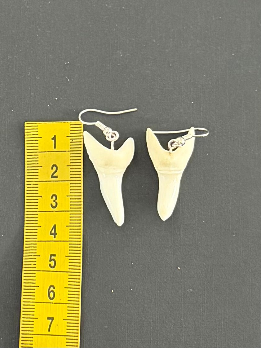 Real Mako Shark Teeth Earrings - No 3