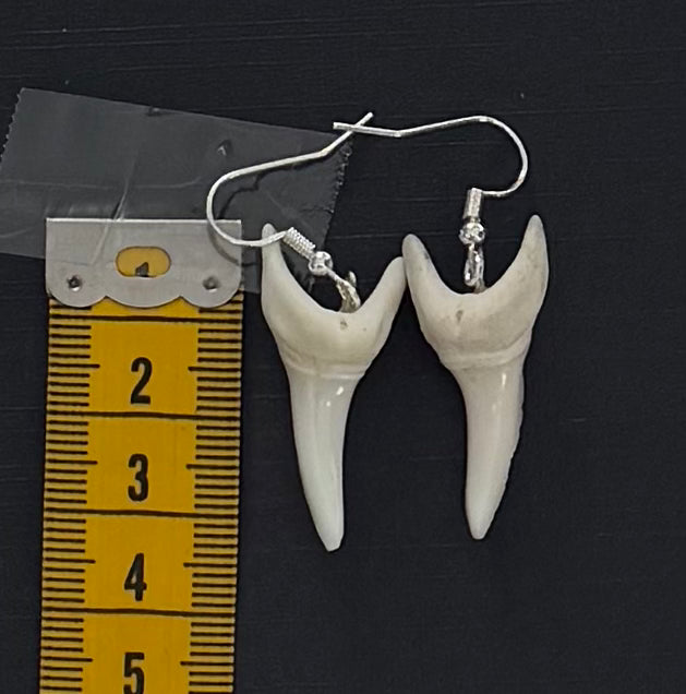 Real Mako Shark Teeth Earrings - No 17