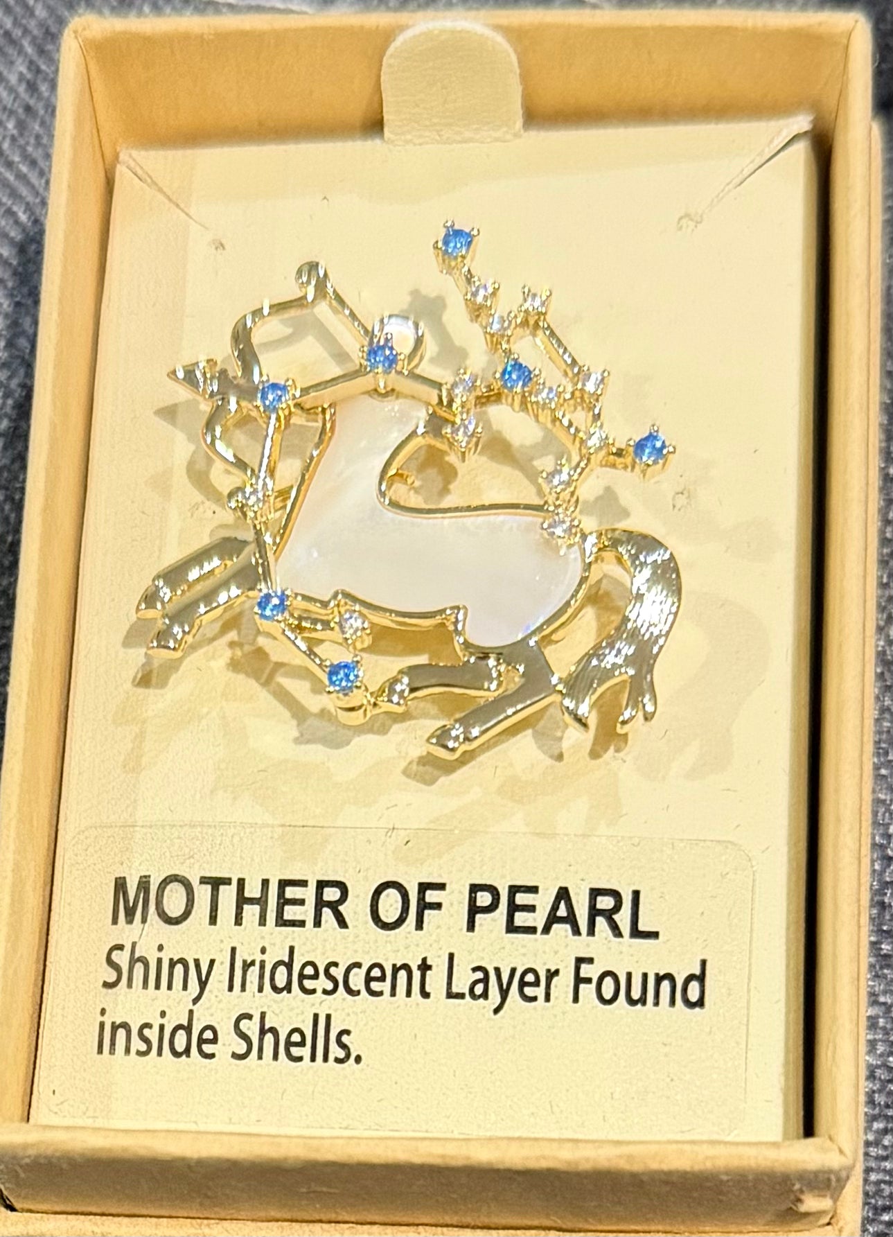 Mother of Pearl Brooch Sagittarius