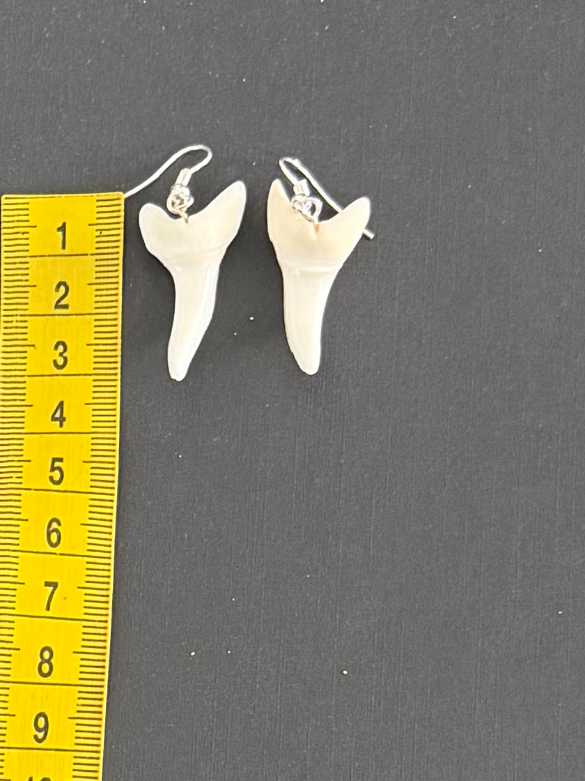 Real Mako Shark Teeth Earrings - No 24