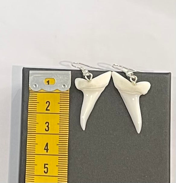 Real Mako Shark Teeth Earrings - No 2