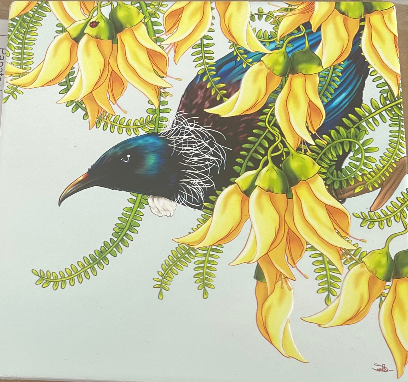 Square - Tui on Kōwhai Tree Ceramic Wall Art