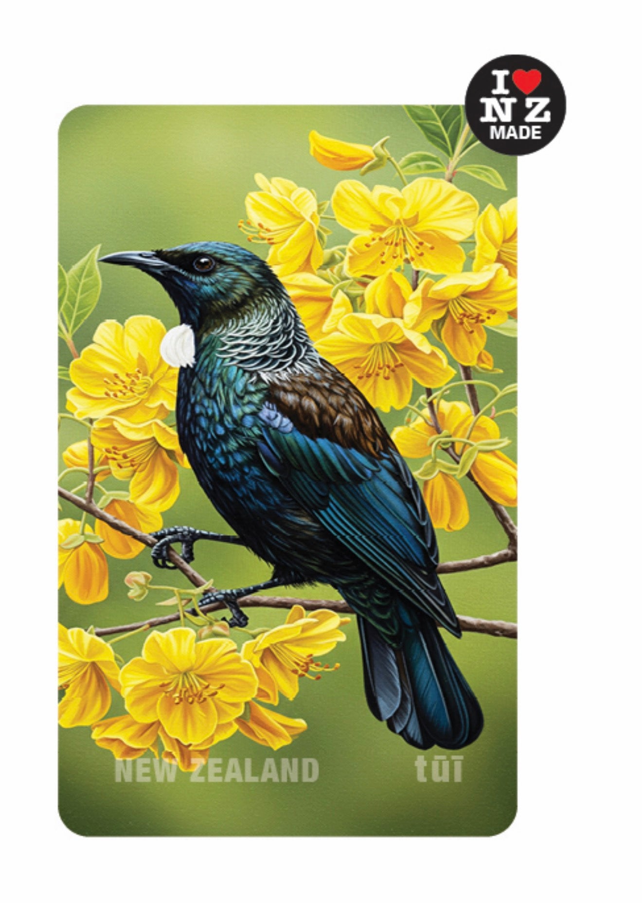 Maori Art Cards by Artist Doug Healey - Tui