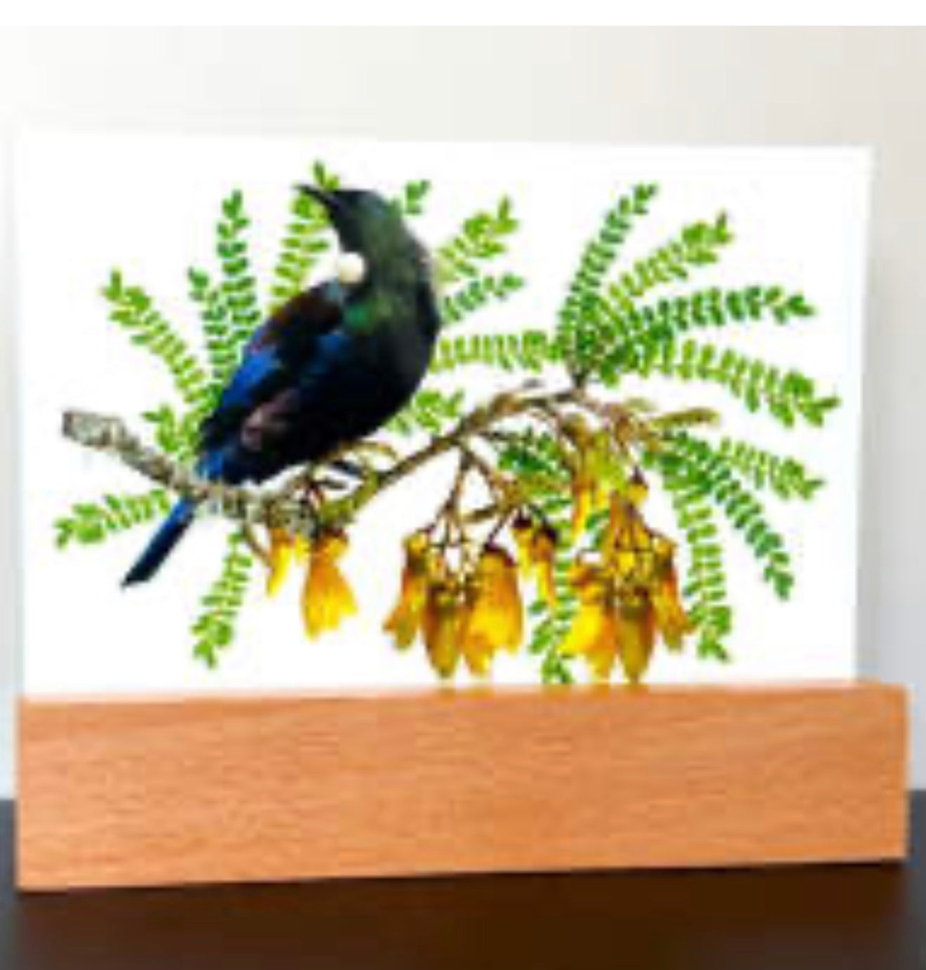 Glass block Tui on Kōwhai tree on a stand - Art Panel