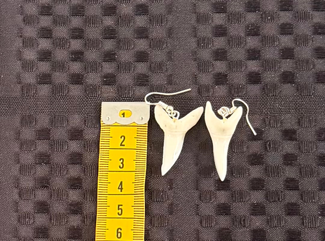 Real Mako Shark Teeth Earrings - No 1