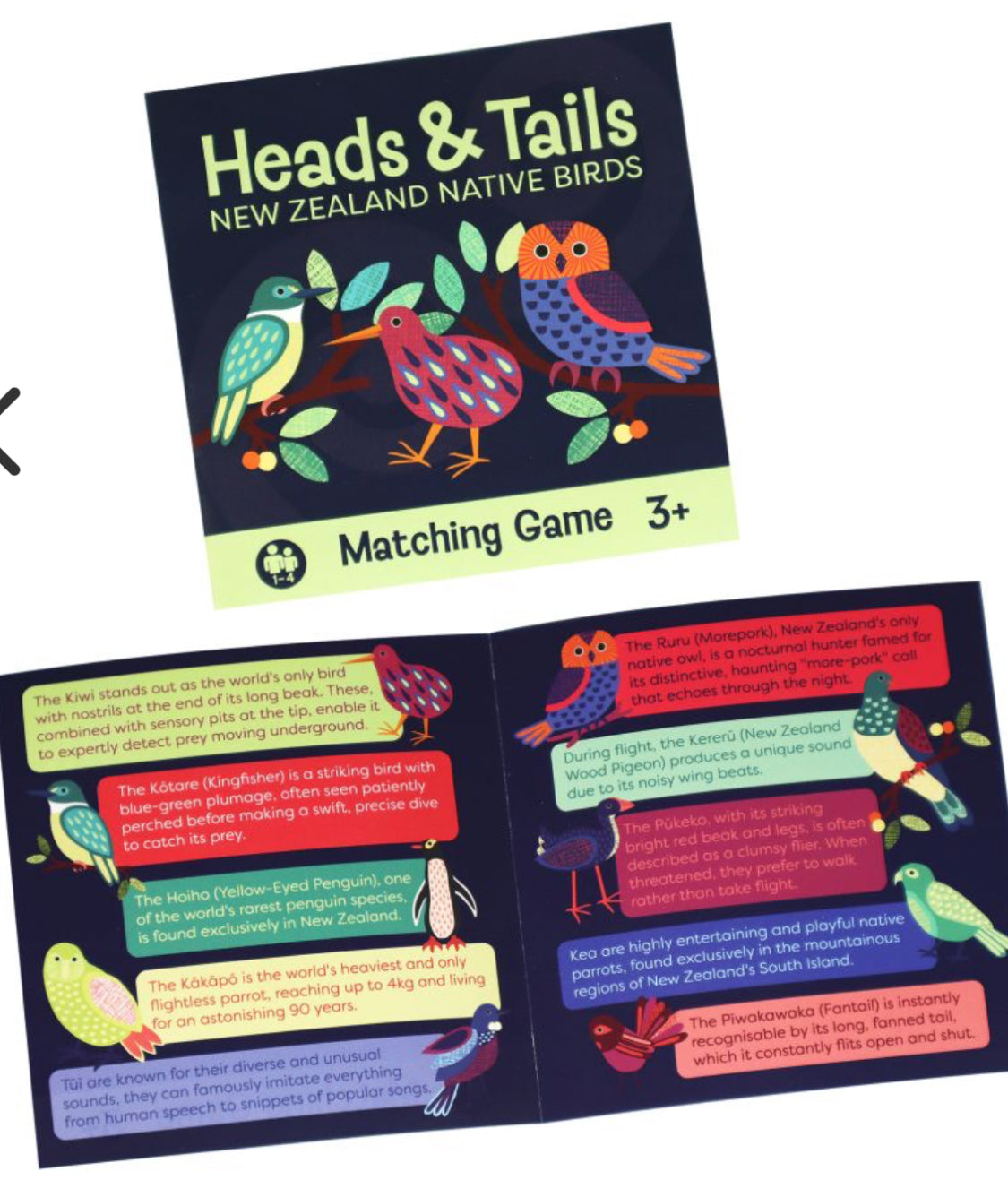 Heads and Tails NZ Native Birds Game