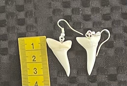 Real Mako Shark Teeth Earrings - No 5