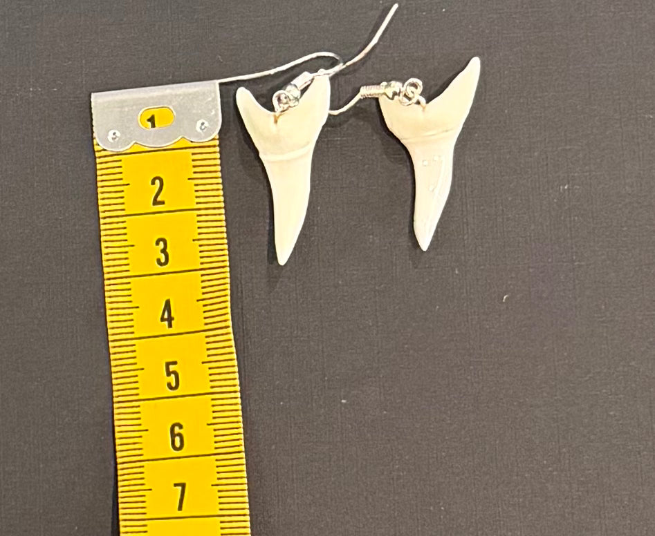 Real Mako Shark Teeth Earrings - No 6
