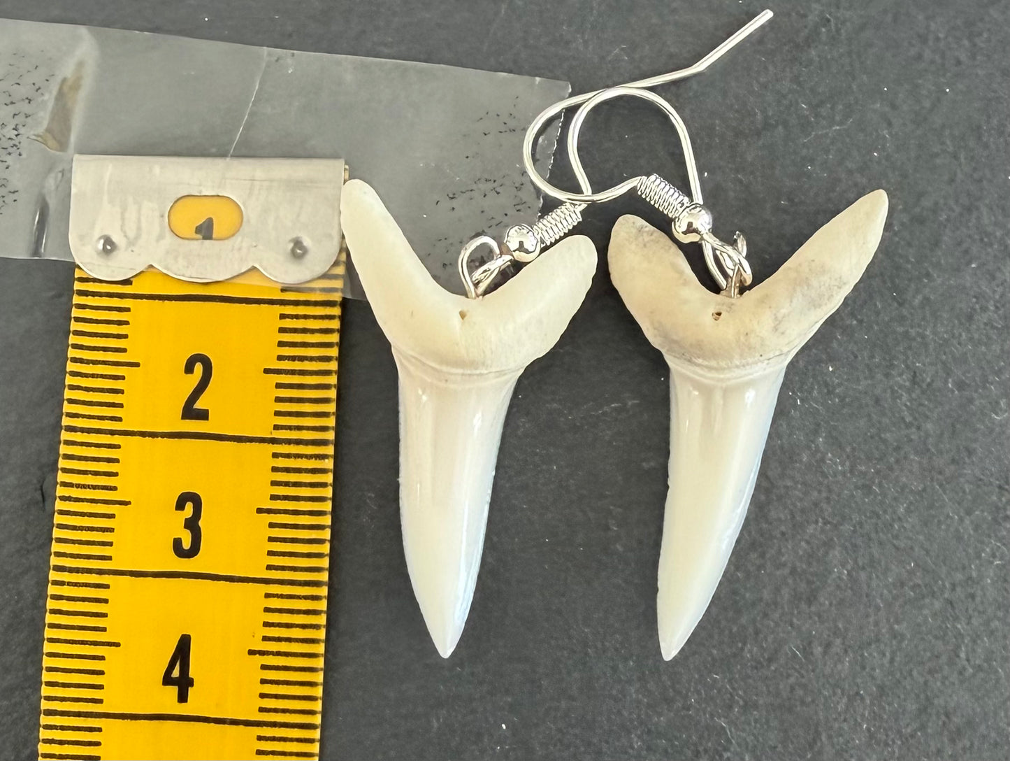 Real Mako Shark Teeth Earrings - No 7