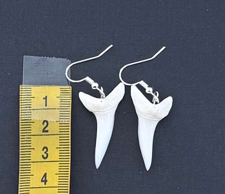 Real Mako Shark Teeth Earrings - No 22