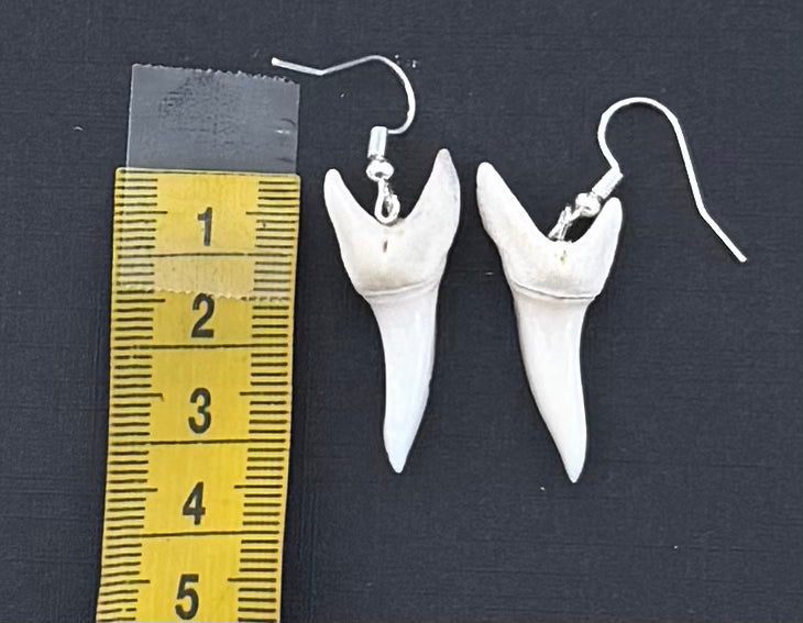 Real Mako Shark Teeth Earrings - No 21